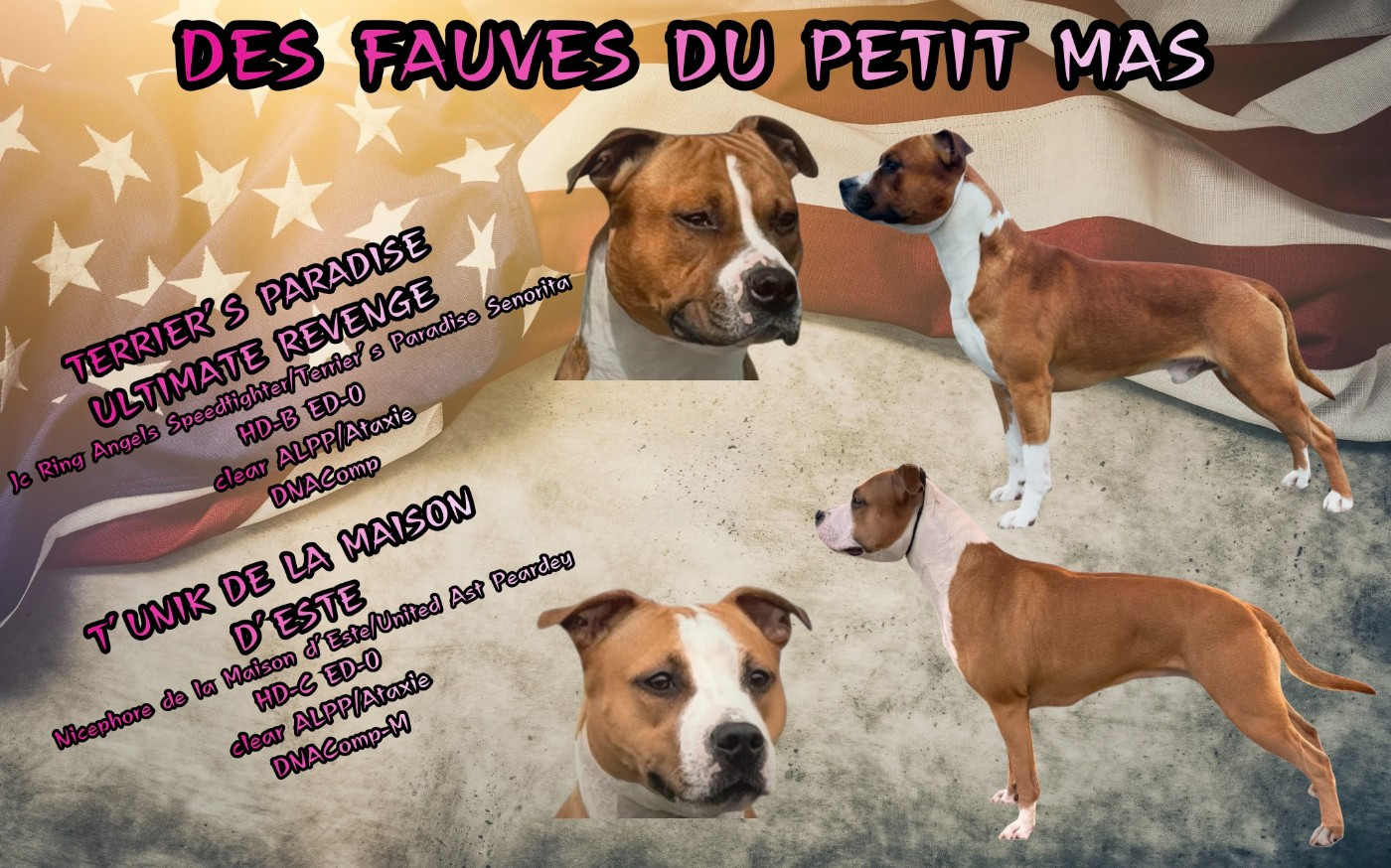 GESTATION CONFIRMÉE